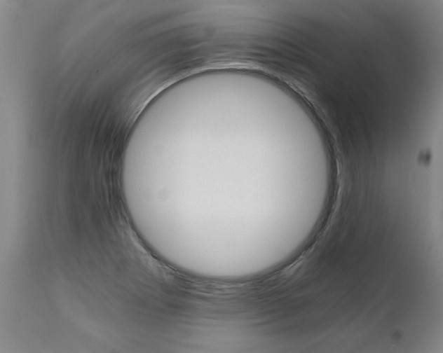 X0000110871273200906181001