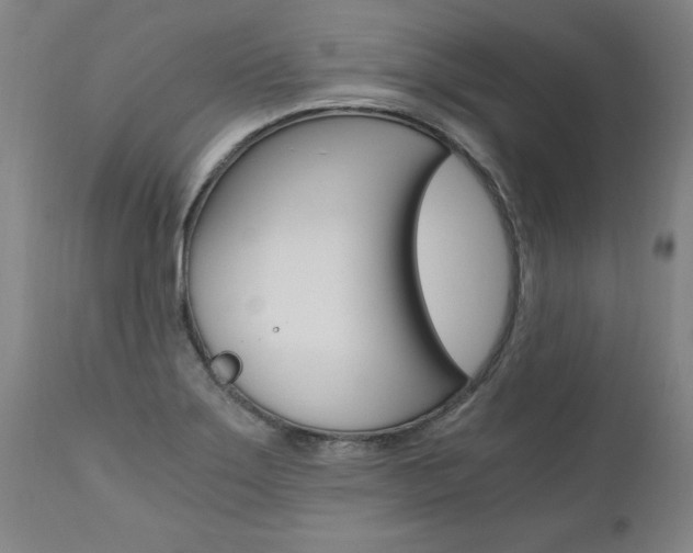 X0000110871275200906181001