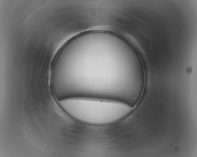X0000110871276200906181001