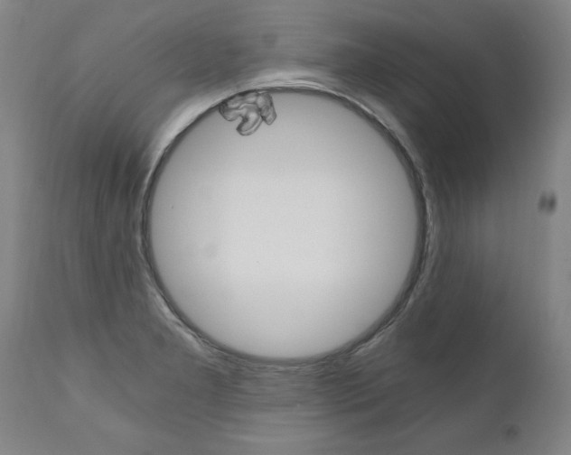 X0000110871277200906181001