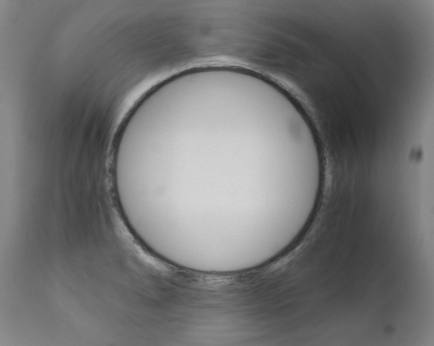 X0000110871278200906181001