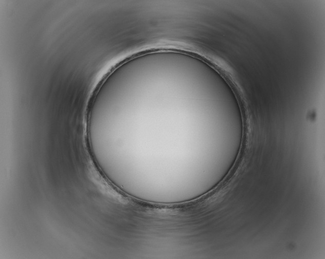 X0000110871280200906181001