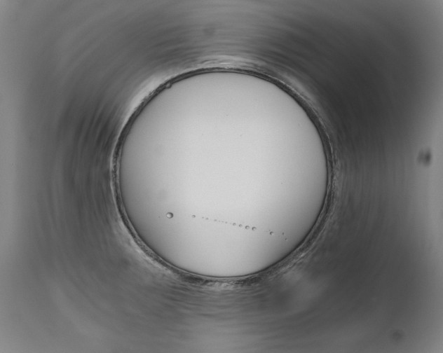 X0000110871283200906181001