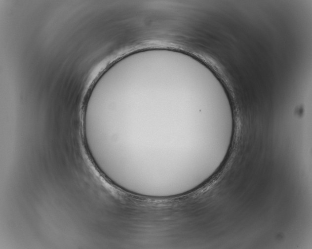 X0000110871286200906181001
