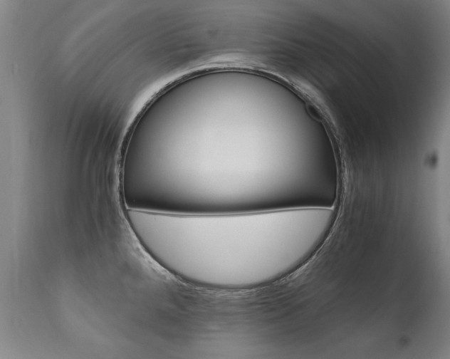 X0000110871288200906181001