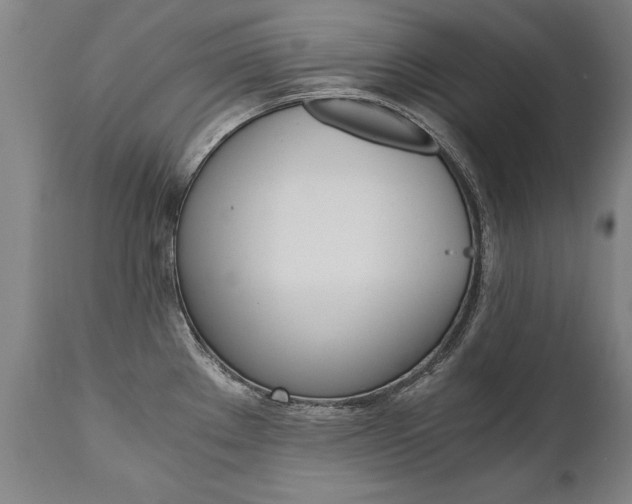 X0000110871289200906181001