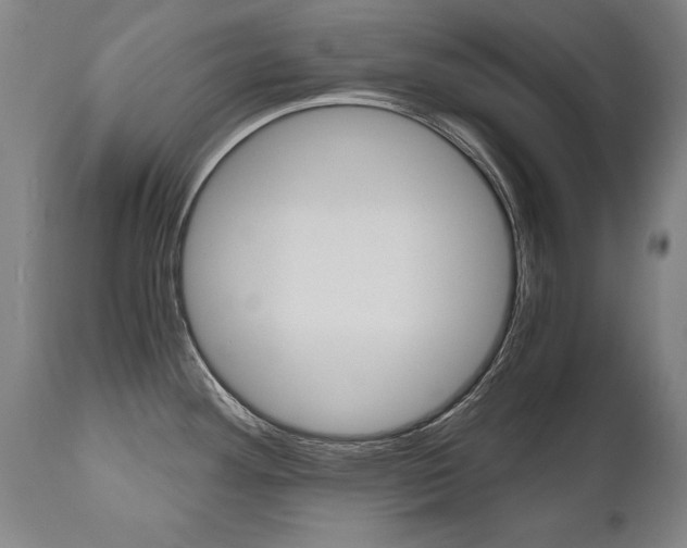 X0000110871292200906181000