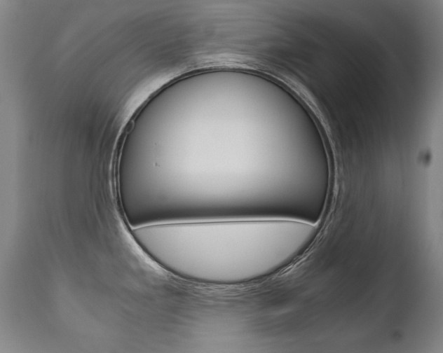 X0000110871293200906181000