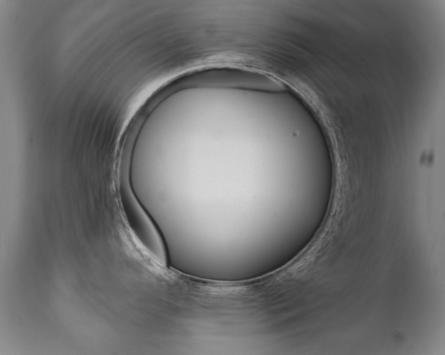 X0000110871296200906181000