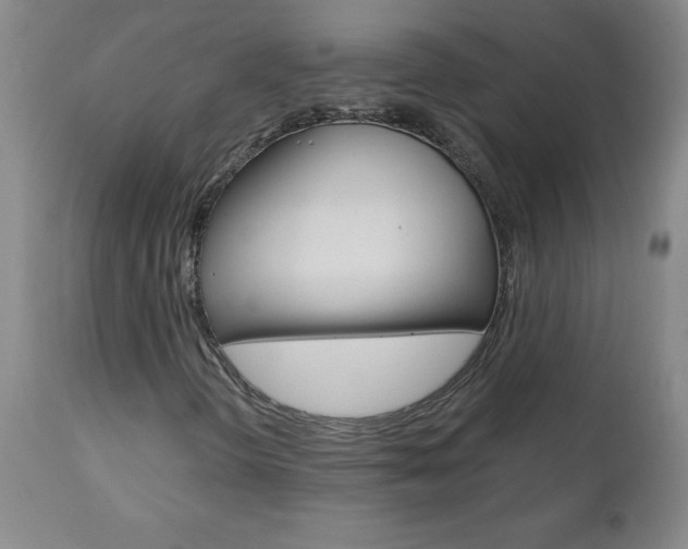 X0000110871298200906180959