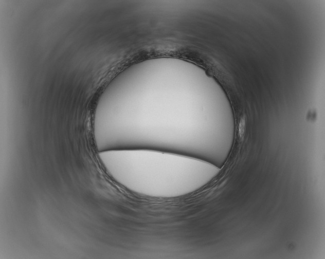 X0000110871299200906180959