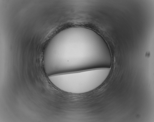 X0000110871300200906180959