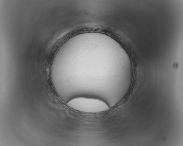 X0000110871302200906180959