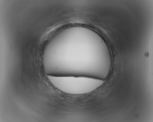X0000110871303200906180959