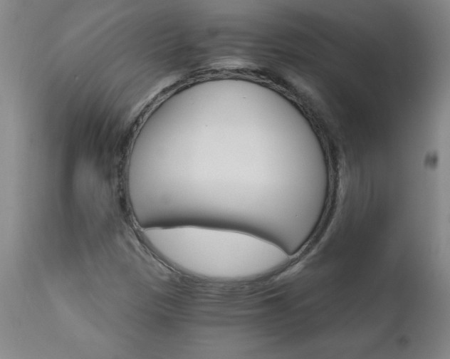 X0000110871305200906180959