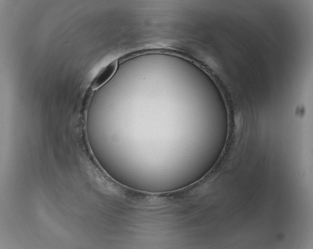 X0000110871308200906180959