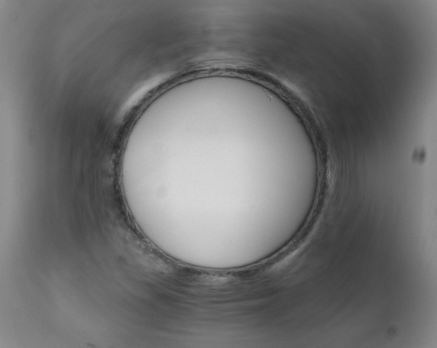 X0000110871309200906180959
