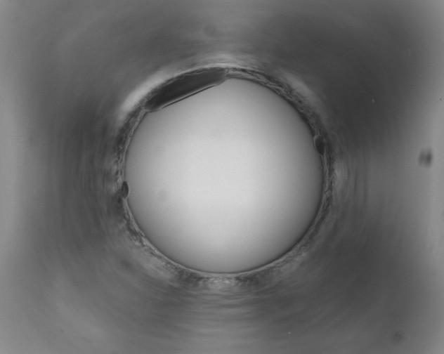 X0000110871310200906180959