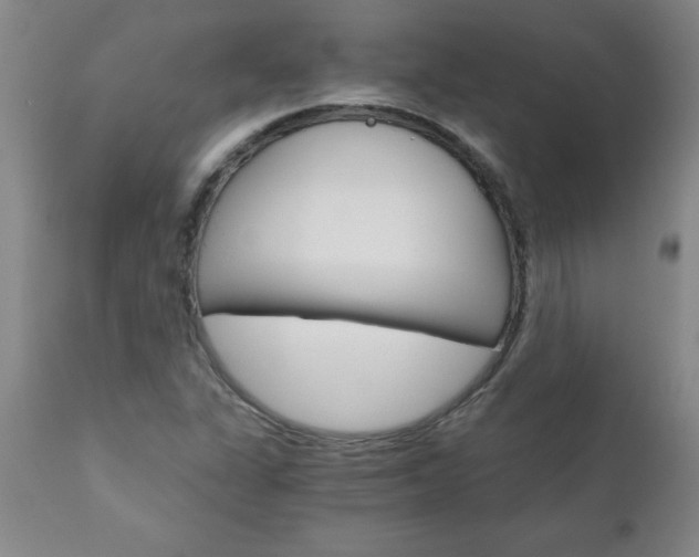 X0000110871311200906180959