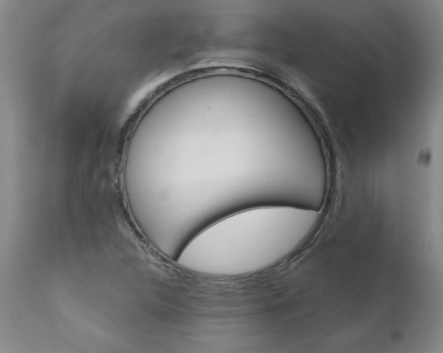 X0000110871312200906180959