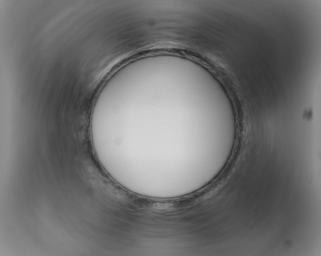 X0000110871313200906180959