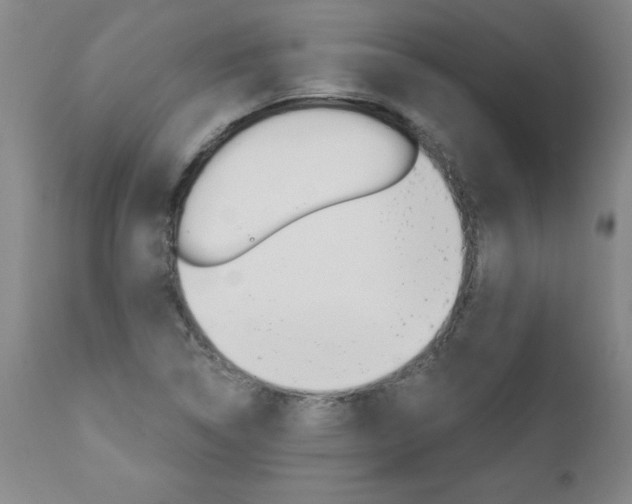 X0000110871314200906180959