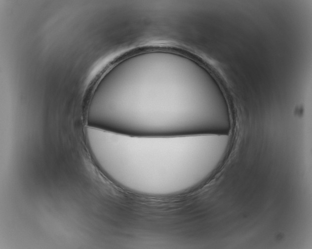 X0000110871319200906181000