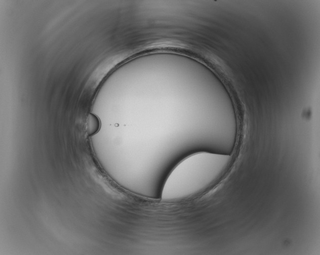 X0000110871321200906181000
