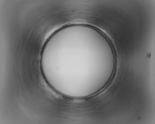 X0000110871325200906181000