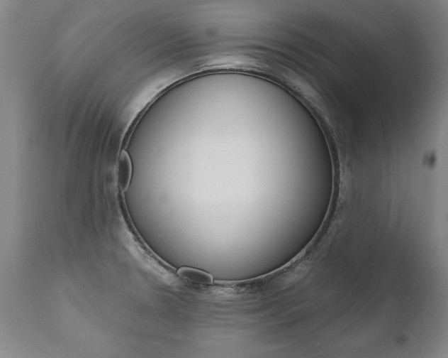 X0000110871330200906181000