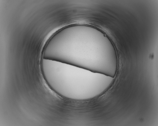 X0000110871331200906181000