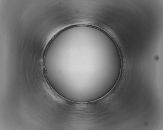X0000110871332200906181000