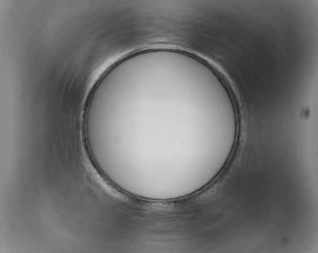 X0000110871333200906181000