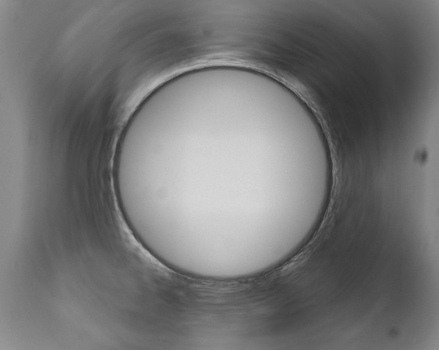 X0000110871334200906181000