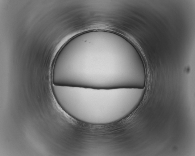 X0000110871339200906181000