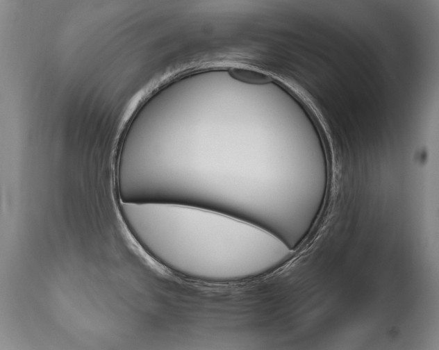 X0000110871341200906181000