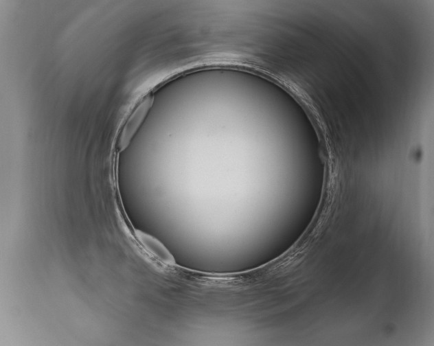 X0000110871342200906181000