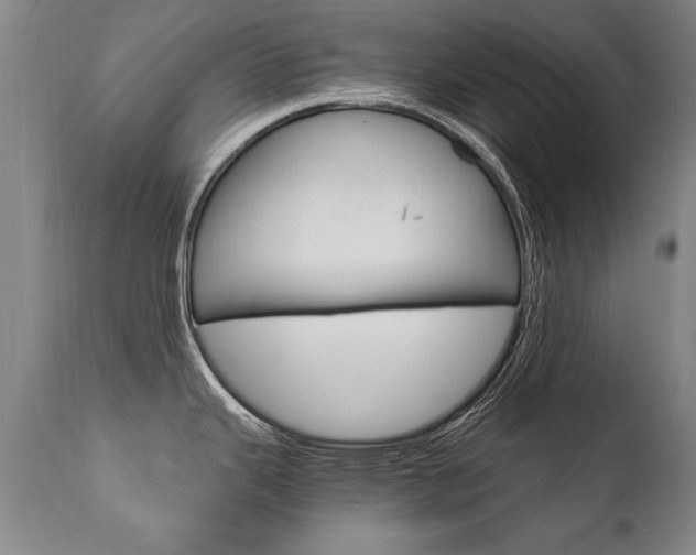 X0000110871343200906181000