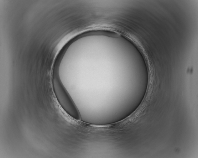 X0000110871344200906181000