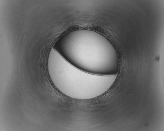 X0000110871345200906180959