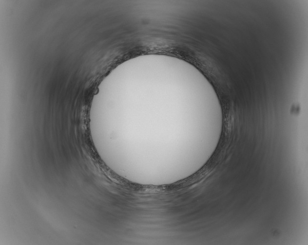 X0000110871346200906180959