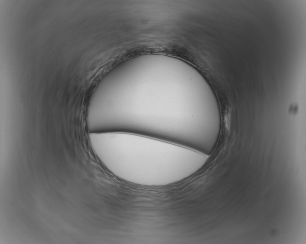X0000110871347200906180959