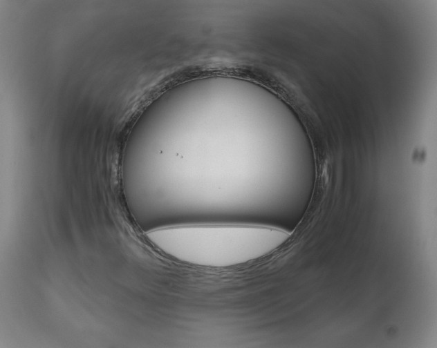 X0000110871348200906180959