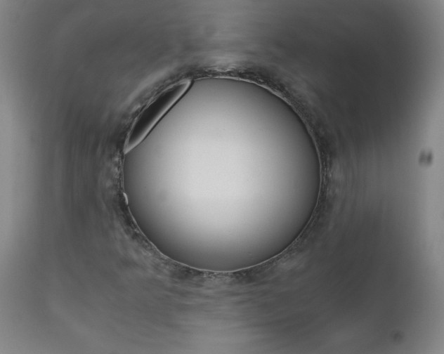 X0000110871349200906180959