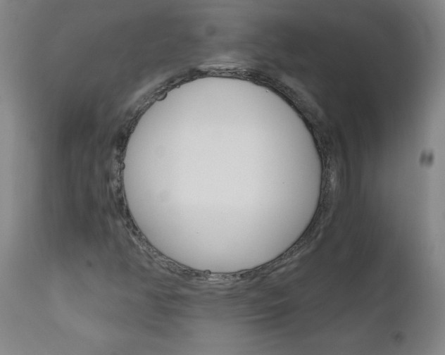 X0000110871350200906180959