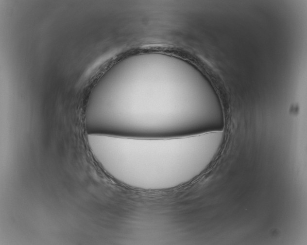 X0000110871351200906180959