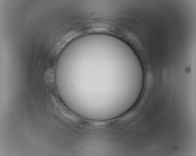 X0000110871353200906180959