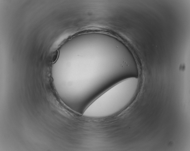 X0000110871355200906180959