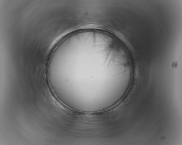 X0000110871356200906180959