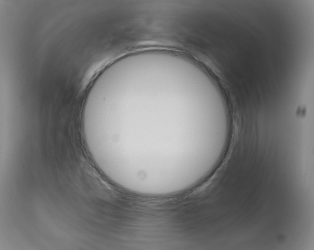 X0000110871357200906180959